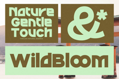 Sound Groove - Display Sans Serif Font Product Image 9