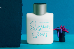 Southampton Brilliant - Stylish Signature Font Product Image 3