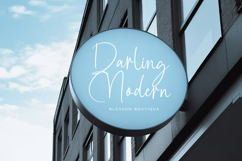 Southampton Brilliant - Stylish Signature Font Product Image 4