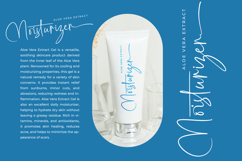 Southampton Brilliant - Stylish Signature Font Product Image 13