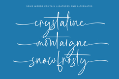 Southampton Brilliant - Stylish Signature Font Product Image 15