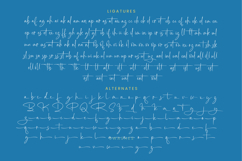 Southampton Brilliant - Stylish Signature Font Product Image 19