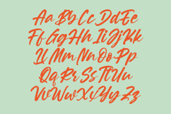 Souther Daleska - Modern Brush Font Product Image 9