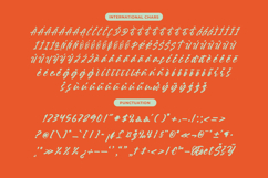 Souther Daleska - Modern Brush Font Product Image 14