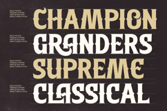 Southern Baseball - Retro Athletic Serif Display Product Image 8