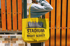 Southern Baseball - Retro Athletic Serif Display Product Image 9