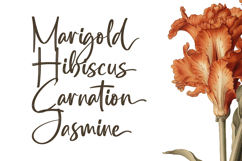 Southery - Bold Brush Font Product Image 10