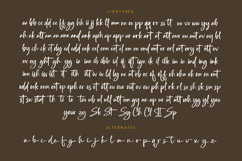 Southery - Bold Brush Font Product Image 19