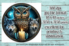 Owl Wind Spinner, Owl Round Design, Southwestern Owl, d14 Product Image 2