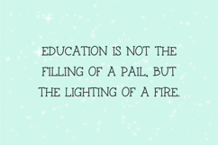 Sparkleberry Typewriter Serif Product Image 7