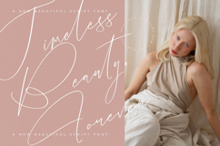 Sparkling Brighters - Beautiful Script Font Product Image 6