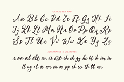 Sparkling Moment - Whimsical Handwritten Script Font Product Image 11