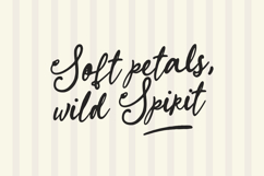 Sparkling Moment - Whimsical Handwritten Script Font Product Image 3