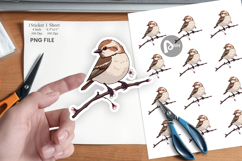 Spring Sparrow Sticker Product Image 1