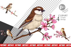 Spring Sparrow Clipart Product Image 1