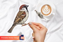 Sparrow Sticker, Nature Sticker, Bird Lover Sticker Product Image 1