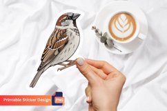Sparrow Sticker, Nature Sticker, Bird Sticker, Animal Art Product Image 1