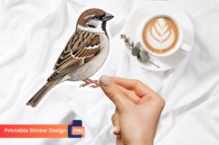 Sparrow Sticker, Nature Sticker, Bird Sticker, Animal Art Product Image 1