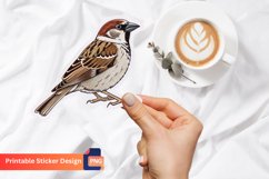 Sparrow Sticker, Nature Sticker, Bird Sticker, Animal Art Product Image 1
