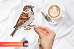 Sparrow Sticker, Nature Sticker, Bird Sticker, Animal Art Product Image 1