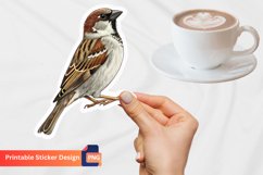 Sparrow Sticker, Bird Sticker, Birds of Nature Sticker Product Image 1