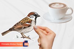 Sparrow Sticker, Bird Sticker, Birds of Nature Sticker Product Image 1