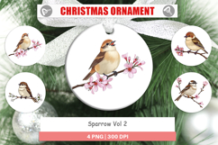 Ornament Spring Sparrow Product Image 1
