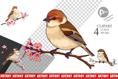 Spring Sparrow Clipart Product Image 1
