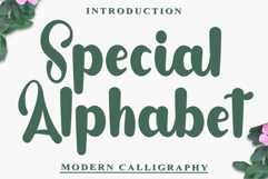 Special Alphabet Product Image 1