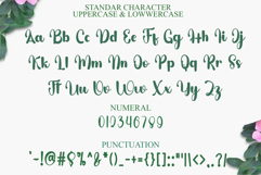 Special Alphabet Product Image 7