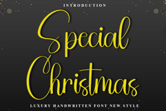 Special Christmas Product Image 1