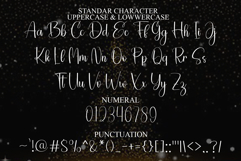 Special Christmas Product Image 7