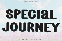 Special Journey Product Image 1