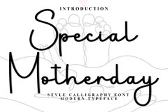 Special Motherday Product Image 1