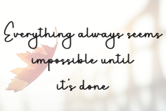 Special Occasion Product Image 2