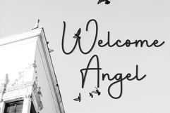 Special Occasion Product Image 5