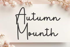 Special Occasion Product Image 6