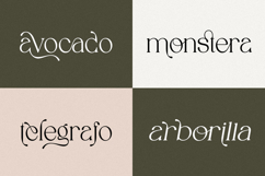 Spadore | Luxury Serif Product Image 13