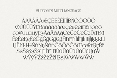 Spadore | Luxury Serif Product Image 15