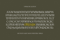 Spadore | Luxury Serif Product Image 16