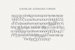 Spadore | Luxury Serif Product Image 17