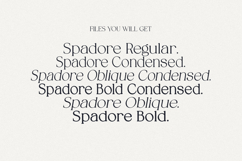 Spadore | Luxury Serif Product Image 18