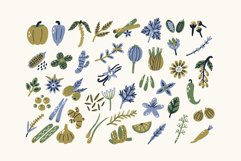 Spice and Herb Clipart Product Image 1