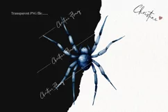Watercolor Spider Clipart | Watercolor Halloween PNG Product Image 2
