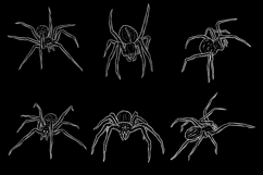 6 Spider PNG Illustrations Creepy Horror &amp; Halloween Clipart Product Image 2