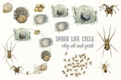 Big Life Cycle Bundle Product Image 18