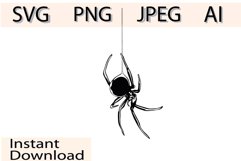 Spider Svg/Png/Jpg/Ai/Vector Spider/Black spider Svg Product Image 1