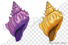 Spiral long conch PNG SVG clipart seashell cartoon Product Image 1