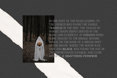 Spirit Box Serif Family Product Image 15