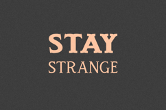 Spirit Box Serif Family Product Image 18